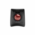 Souris Kensington ‎K72359WW (Reconditionné C): Plus de 300.000 produits de grandes marques en vente directe à prix usine sur cad