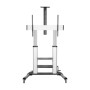 Support de TV Aisens FT100TE-125 60-100 100 kg: Plus de 300.000 produits de grandes marques en vente directe à prix usine sur ca