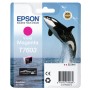 Cartouche d'encre originale Epson C13T76034N10 Multicouleur Magenta: Plus de 300.000 produits de grandes marques en vente direct