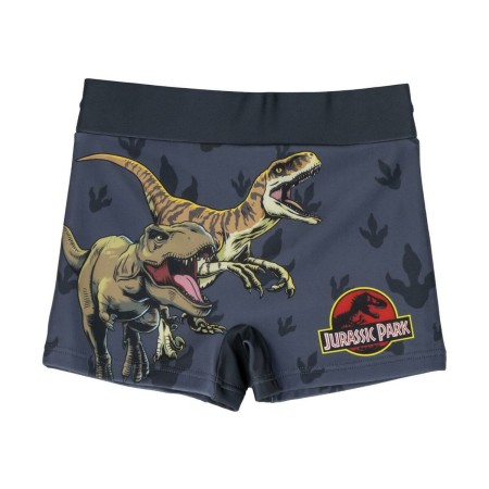 Boxer de Bain pour Enfants Jurassic Park Gris foncé: Plus de 300.000 produits de grandes marques en vente directe à prix usine s