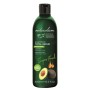 Shampooing réparateur Naturalium Avocat 400 ml: Plus de 300.000 produits de grandes marques en vente directe à prix usine sur ca