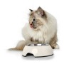 Mangeoire pour chiens Hunter Mélamine Acier inoxydable Blanc 350 ml (18,5 x 18,5 x 9,5 cm): Plus de 300.000 produits de grandes 