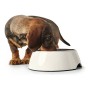 Mangeoire pour chiens Hunter Mélamine Acier inoxydable Blanc 350 ml (18,5 x 18,5 x 9,5 cm): Plus de 300.000 produits de grandes 