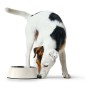 Mangeoire pour chiens Hunter Mélamine Acier inoxydable Blanc 350 ml (18,5 x 18,5 x 9,5 cm): Plus de 300.000 produits de grandes 