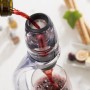 Décanteur à Vin Professionnel avec Support Tour et Base Anti-goutte Winair InnovaGoods: Plus de 300.000 produits de grandes marq