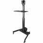 Support de TV Startech WKSTNCART 8 kg: Plus de 300.000 produits de grandes marques en vente directe à prix usine sur cadeaufou.c