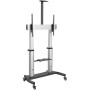 Support de TV Startech STNDMTV100 100: Plus de 300.000 produits de grandes marques en vente directe à prix usine sur cadeaufou.c