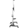 Support de TV Startech STNDMTV100 100: Plus de 300.000 produits de grandes marques en vente directe à prix usine sur cadeaufou.c