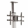 Trolley Startech STNDMTV70 : Plus de 300.000 produits de grandes marques en vente directe à prix usine sur cadeaufou.c