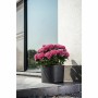 Pot auto-arrosant Garden ID Noir 40 x 40 cm: Plus de 300.000 produits de grandes marques en vente directe à prix usine sur cadea