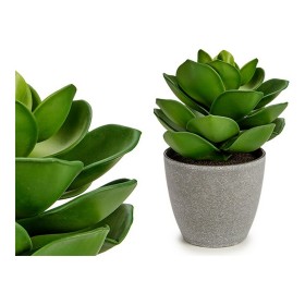 Plante décorative Ibergarden YC1814571 Plastique 16 x 21 x 16 cm Gris: Plus de 300.000 produits de grandes marques en vente dire