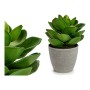 Plante décorative Ibergarden YC1814571 Plastique 16 x 21 x 16 cm Gris: Plus de 300.000 produits de grandes marques en vente dire