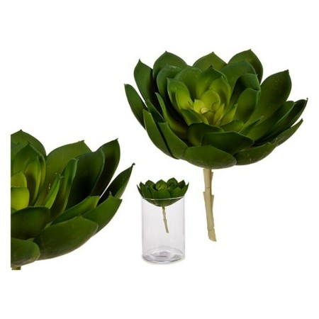 Plante décorative Ibergarden YD180138 Plastique: Plus de 300.000 produits de grandes marques en vente directe à prix usine sur c