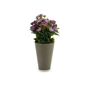 Plante décorative Ibergarden Plastique 11 x 22 x 11 cm: Plus de 300.000 produits de grandes marques en vente directe à prix usin