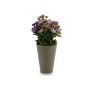 Plante décorative Ibergarden Plastique 11 x 22 x 11 cm: Plus de 300.000 produits de grandes marques en vente directe à prix usin