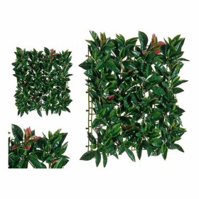 Plante décorative Ibergarden: Plus de 300.000 produits de grandes marques en vente directe à prix usine sur cadeaufou.com. Label
