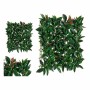 Plante décorative Ibergarden: Plus de 300.000 produits de grandes marques en vente directe à prix usine sur cadeaufou.com. Label