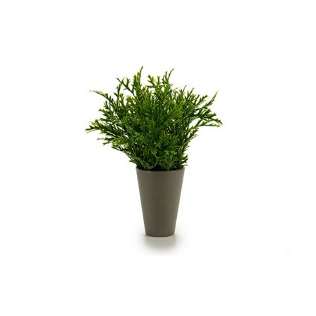 Pot Ibergarden Vert Plastique 13 x 25 x 13 cm: Plus de 300.000 produits de grandes marques en vente directe à prix usine sur cad