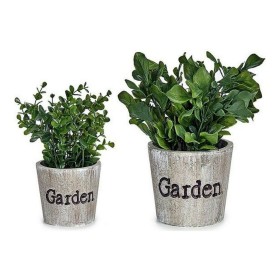 Plante décorative Ibergarden XD16-710 Plastique 16 x 22 x 16 cm: Plus de 300.000 produits de grandes marques en vente directe à 