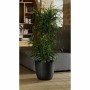 Pot EDA Opal Chape Noir Ø 29,5 cm: Plus de 300.000 produits de grandes marques en vente directe à prix usine sur cadeaufou.com. 