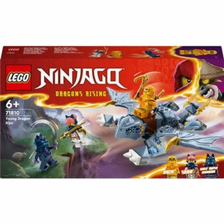 Set de construction Lego NINJAGO 71810 The Young Dragon Riyu Multicouleur: Plus de 300.000 produits de grandes marques en vente 