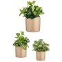 Set de pots Ibergarden CILINDRO-1019 Beige Argile Cylindre Ø 14 cm Ø 22 cm Ø 17 cm 3 Pièces: Plus de 300.000 produits de grandes