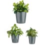 Set de pots Ibergarden CONICO-7011 Anthracite Argile Cónica Ø 14 cm Ø 22 cm Ø 17 cm 3 Pièces: Plus de 300.000 produits de grande