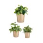 Set de pots Ibergarden CONICO-1019 Beige Argile Cónica Ø 14 cm Ø 22 cm Ø 17 cm 3 Pièces: Plus de 300.000 produits de grandes mar