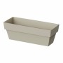 Jardinière Plastiken Limited Ecru 12 x 30 cm: Plus de 300.000 produits de grandes marques en vente directe à prix usine sur cade