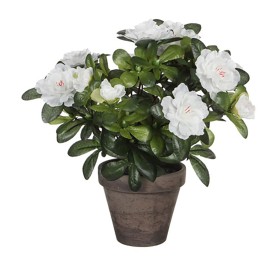 Plante décorative Mica Decorations 11,5 x 27 x 20 cm: Plus de 300.000 produits de grandes marques en vente directe à prix usine 