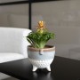 Cache-pot Vinthera Moa Multicouleur Céramique 13 x 11 cm: Plus de 300.000 produits de grandes marques en vente directe à prix us