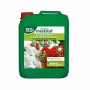 Engrais organique BSI Geranium Species 5 L: Plus de 300.000 produits de grandes marques en vente directe à prix usine sur cadeau