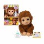 Animal de Compagnie Interactif Famosa My Baby Monkey Little Live Pets: Plus de 300.000 produits de grandes marques en vente dire