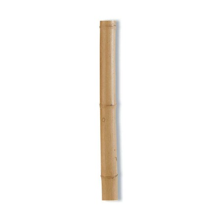 Support de plantation Nortene Décoratif Ø 8,5 cm x 2,4 m Naturel Bambou: Plus de 300.000 produits de grandes marques en vente di
