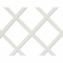 Palissade de Jardin Nortene 0,5 x 1,5 m: Plus de 300.000 produits de grandes marques en vente directe à prix usine sur cadeaufou