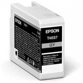 Cartouche d'encre originale Epson UltraChrome Pro Noir Gris 25 ml: Plus de 300.000 produits de grandes marques en vente directe 