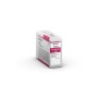 Cartouche d'encre originale Epson SC-P800 Magenta: Plus de 300.000 produits de grandes marques en vente directe à prix usine sur
