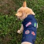 Veste pour chien Marvel: Plus de 300.000 produits de grandes marques en vente directe à prix usine sur cadeaufou.com. Label bout