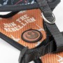 Harnais pour Chien Star Wars Réversible: Plus de 300.000 produits de grandes marques en vente directe à prix usine sur cadeaufou