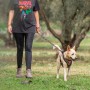 Laisse pour Chien Marvel: Plus de 300.000 produits de grandes marques en vente directe à prix usine sur cadeaufou.com. Label bou
