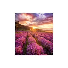 Moniteur Videowall Samsung LH025IFHBAS/EN: Plus de 300.000 produits de grandes marques en vente directe à prix usine sur cadeauf
