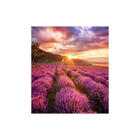 Moniteur Videowall Samsung LH025IFHBAS/EN: Plus de 300.000 produits de grandes marques en vente directe à prix usine sur cadeauf