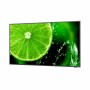 Moniteur Videowall NEC 60005059 LED 4K Ultra HD 65 65: Plus de 300.000 produits de grandes marques en vente directe à prix usine
