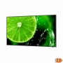 Moniteur Videowall NEC 60005059 LED 4K Ultra HD 65 65: Plus de 300.000 produits de grandes marques en vente directe à prix usine