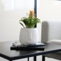 Cache-pot Vinthera Moa Gris clair Céramique 10,5 x 10,5 cm: Plus de 300.000 produits de grandes marques en vente directe à prix 