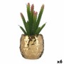 Plante décorative Ibergarden HY2-44 Céramique Plastique Cactus 10 x 20 x 10 cm Vert Doré (6 Unités): Plus de 300.000 produits de