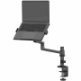 Support pour Portable, eBook et iPad Neomounts DS20-425BL1 17,3 11,6: Plus de 300.000 produits de grandes marques en vente direc