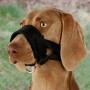 Muselière Trixie Noir L: Plus de 300.000 produits de grandes marques en vente directe à prix usine sur cadeaufou.com. Label bout