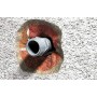 Scellant/Adhésif Fischer Ciment Gris clair 310 ml: Plus de 300.000 produits de grandes marques en vente directe à prix usine sur