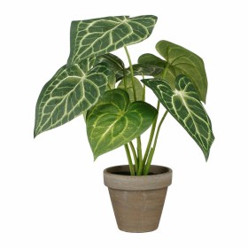Plante décorative Mica Decorations Caladium Ø 21 x 28 cm Artificielle: Plus de 300.000 produits de grandes marques en vente dire